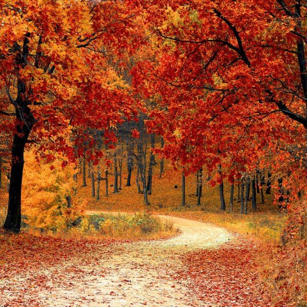 eine herbstlandschaft